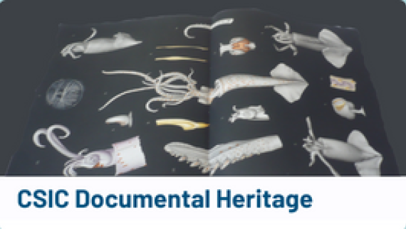 CSIC Documental Heritage ENG Renew
