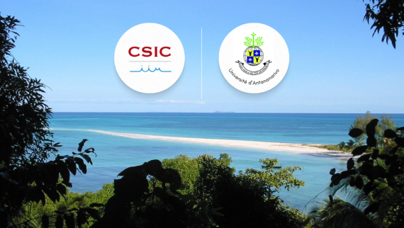 Beach in Madagascar with the logos of both, IIM-CSIC and the University of Antananarivo shown over the horizon.