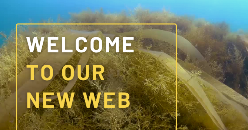 Welcome to our new web