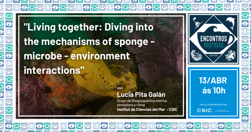 Encontros Espresso - Living together: diving into the mechanisms of sponge-microbe-environment interactions por Lucía Pita Galán (ICM-CSIC)