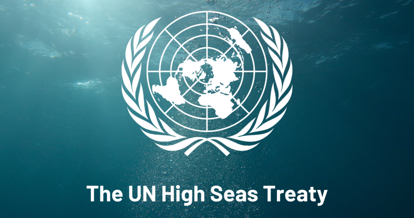 The UN High Seas Treaty