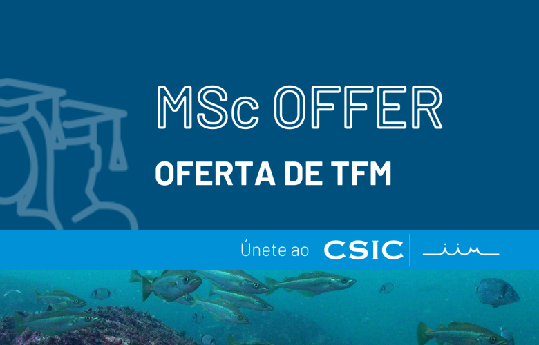 MSc Offer - Oferta de TFM